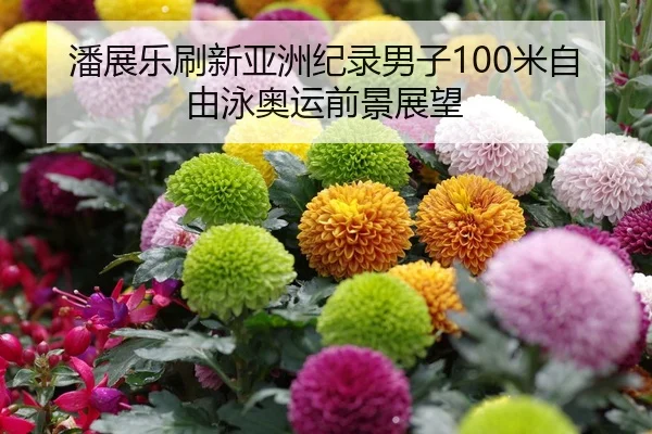 pan-zhan-le-shua-xin-ya-zhou-ji-lu-nan-zi-mi-zi-you-yong-ao-yun-qian-jing-zhan-wang-2-371.jpg