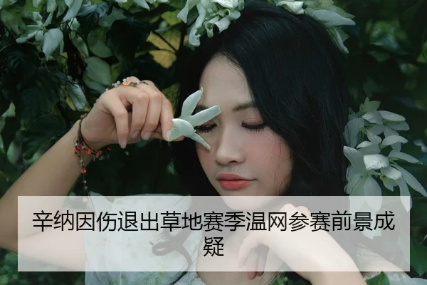 xin-na-yin-shang-tui-chu-cao-di-sai-ji-wen-wang-can-sai-qian-jing-cheng-yi-2-421.jpg