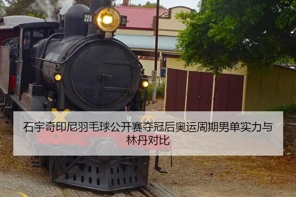 shi-yu-qi-yin-ni-yu-mao-qiu-gong-kai-sai-duo-guan-hou-ao-yun-zhou-qi-nan-dan-shi-li-yu-lin-dan-dui-bi-3-381.jpg